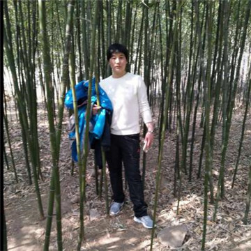 连云港拉拉会员：遥远 的头像