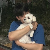 淄博同志会员：uu 的头像
