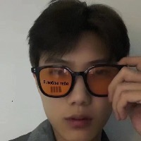 佳木斯同志会员：森林的树 的头像