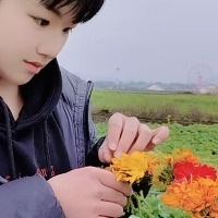 六盘水同志会员：谢昙悠悠 的头像