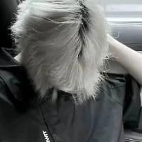三门峡同志会员：初尝心动 的头像