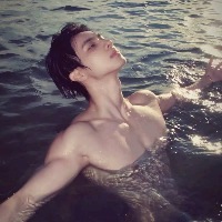 西安同志交友：Halo... 的头像