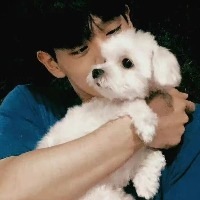 兰州同志会员：彬缘 的头像