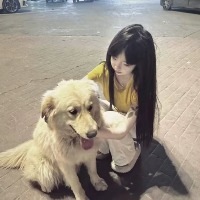 鄂尔多斯拉拉交友：她是心脏 的头像