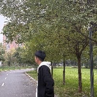 北京同志交友：当年的王 的头像